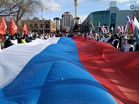 Общественники объяснили, почему протестные акции в России терпят неудачи