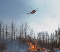 В Тюменской области тушили первые природные пожары