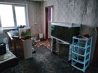 "Поселились в бане...": погорельцы в Мальково лишились единственного жилья