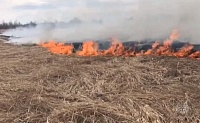 Пожар в пригороде Тюмени охватил 45 гектаров