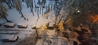Из-за майского снегопада в Тюмени падают деревья