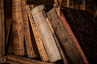 «Библионочь» объединила тобольских книголюбов